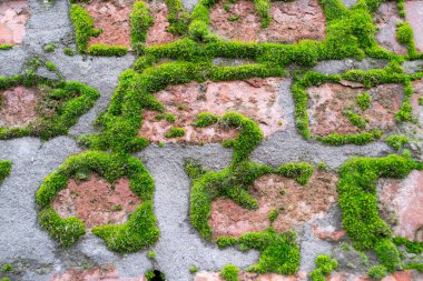 Arka plan dokusu ile yeşil yosun kaplı bir eski, kırmızı tuğla.
