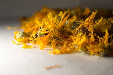 Turuncu yaprakları. Kuru Çiçekler beyaz bir arka plan üzerinde calendulaed. Yan görünümü. Calendula officinalis. Çerçeve çiçek.
