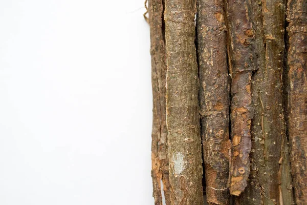 Droge Eiken Schors Een Witte Achtergrond Quercus Cortex Quercus Robur — Stockfoto