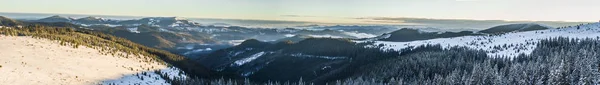 パノラマ 冬の朝雪のカルパティア山脈 — ストック写真