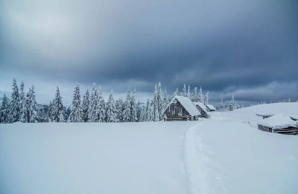 Houten Huizen Sneeuw Karpaten Winter Voor Kerstmis — Stockfoto