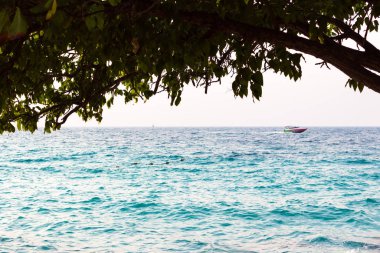 Tekneler mavi denizde yüzüyor Ağacın altında