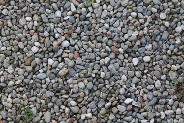 Güzel arka plan resmi kayaların doku yuvarlak çakıl