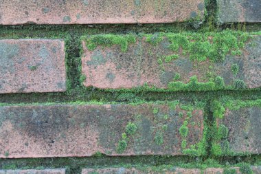 Tuğla duvar taş arka plan - doku sürekli rocks için