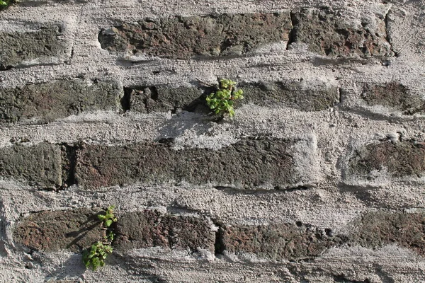 Фон из кирпичного камня - текстура для непрерывных пород — стоковое фото