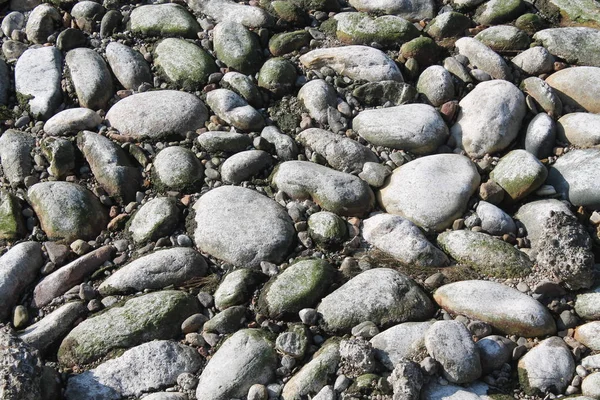 Schönes Hintergrundbild von Kieselsteinen, runde Felsen Textur — Stockfoto