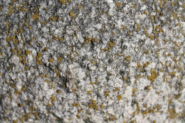 화강암 바위 근접 촬영 배경, 돌 텍스처, 표면에 금이 — 스톡 사진
