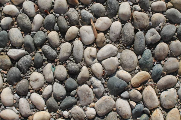 Schönes Hintergrundbild von Kieselsteinen, runde Felsen Textur — Stockfoto