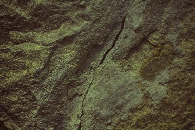 Soğuk greytone doku