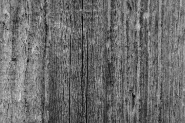 Ahır ahşap gri tahta arka plan.