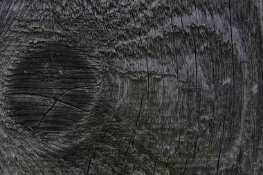 Ahır ahşap gri tahta arka plan.