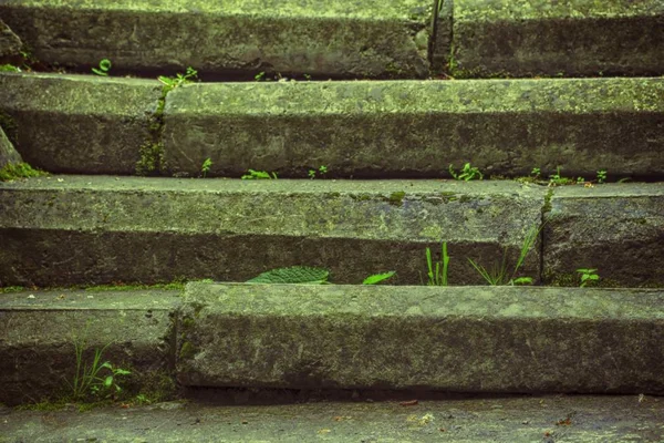 老惊人的楼梯从石头, 乌克兰. — 图库照片