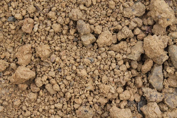 Horizontal Background Clay Soil — Stock Photo, Image