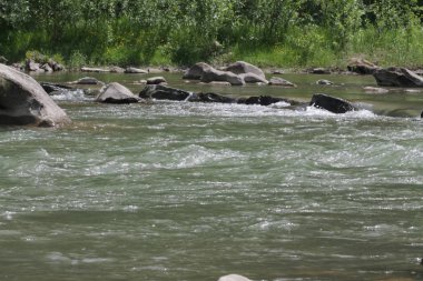 Karpatya dağlarındaki orman, nehir ve taşlarla çevrili bir arazi.