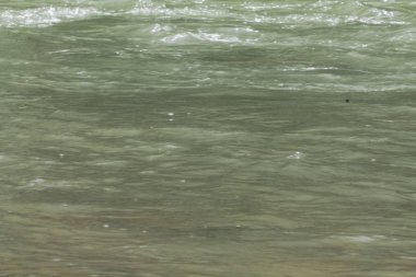 Ulusal Park 'ta ilkbahar. Bahar manzarası, nehir ve ağaçlardaki ilk yeşiller..