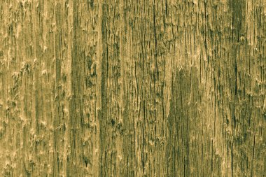 Ahşap tahta kurulu. Gri Wood
