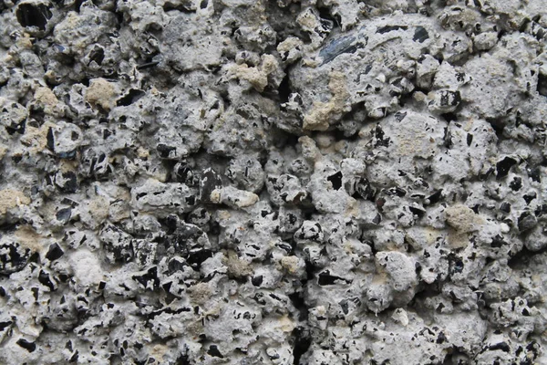 크리미아 돌의 회색 배경 — 스톡 사진