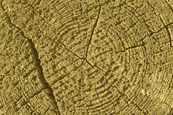 Textura de madera, fondo de madera vacío, superficie agrietada —  Fotos de Stock