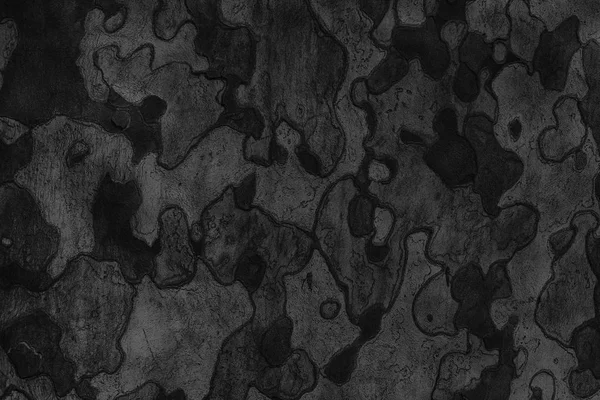 背景纹理的树的树皮。皮肤的一棵树的树皮 tr — 图库照片
