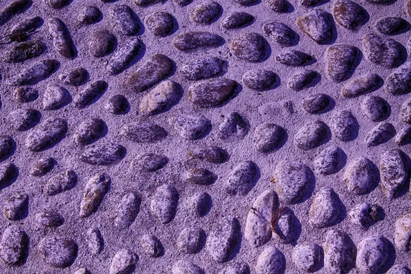 Purple Bonita imagen de fondo de guijarros, textura de rocas redondas — Foto de Stock