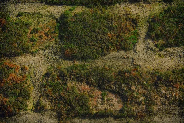 Granit rock närbild bakgrund, sten textur, knäckt yta — Stockfoto