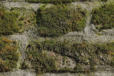 Granit kaya closeup arka plan, taş doku, kırık yüzey