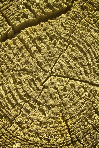 Textura de madera, fondo de madera vacío, superficie agrietada — Foto de Stock