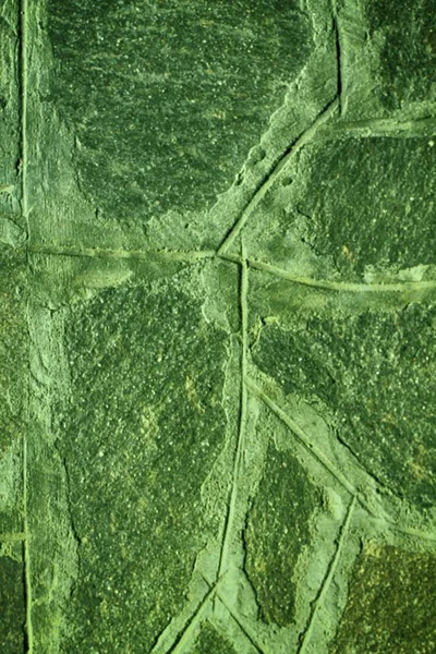 Groene textuur van de stenen muur, gebarsten oppervlak — Stockfoto