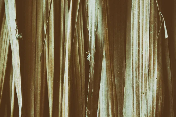 Bambus Wand Textur Hintergrund Holzstruktur — Stockfoto