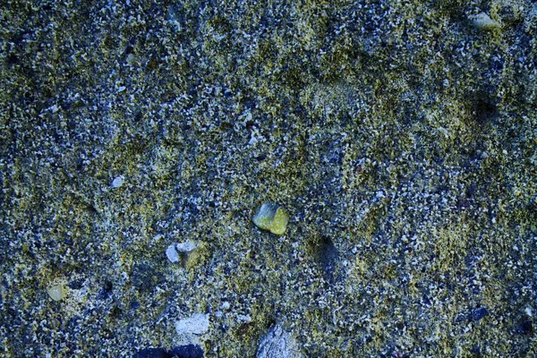 Blu Invecchiato Struttura Della Parete Cemento Sfondo Roccioso Superficie Incrinata — Foto Stock