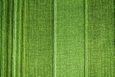 Yeşil ipek kumaş duvar kağıdı doku desen arka planda sepya pastel