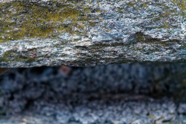 Taş web sitesi veya mobil cihazlar için doku yüzey kaya arka plan gri