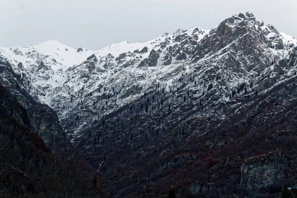 Zimowy krajobraz. Drzewa, góry, niebo i chmury pokryte świeżego śniegu. Włochy, Alagna — Zdjęcie stockowe