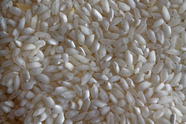 Рисовая органическая текстура, азиатский сырой короткофрезерный рис в качестве фона. Понятие правильного питания и здорового образа жизни. Вид сверху, крупным планом в качестве фона или текстуры — стоковое фото
