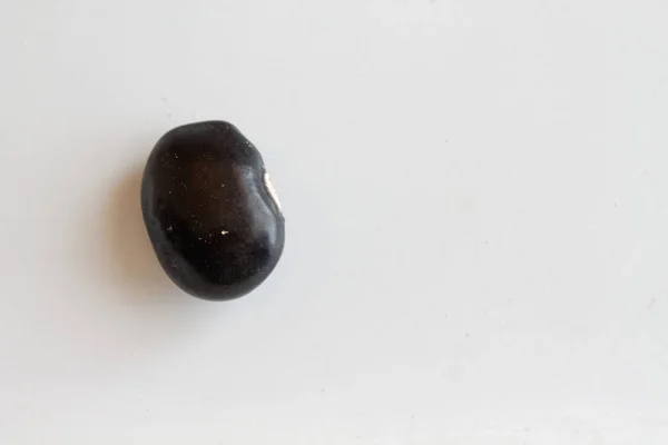 말린된 신장 갈색 얼룩 콩 적절 한 영양 섭취와 건강 한 라이프 스타일의 개념. 상위 뷰, 배경 또는 질감으로 근접 — 스톡 사진