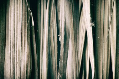 Bambu duvar doku arka plan. ahşap doku.