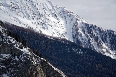 Granit Dağları kar ve kış orman Mont Blanc Alpes, İtalya ile kaplı