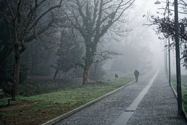 Μυστική διαδρομή με τα πόδια με ομίχλη Σκιαγραφία δένδρα και άνθρωπος, ομιχλώδη walkside, ομιχλώδης θέση — Φωτογραφία Αρχείου