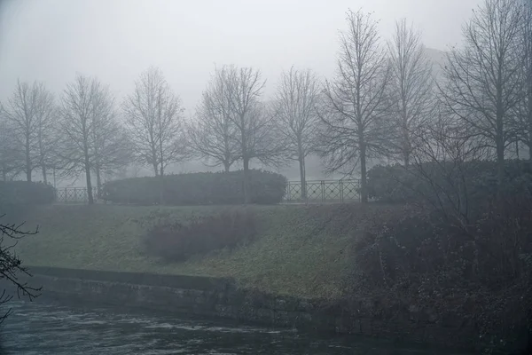 Sendero místico con silueta de niebla de árboles, paseo nublado, lugar nublado — Foto de Stock