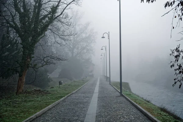 Sendero místico con silueta de niebla de árboles, paseo nublado, lugar nublado — Foto de Stock