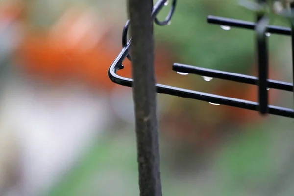 Gota de agua en el fondo de desenfoque de maceta al aire libre para el sitio web o dispositivos móviles —  Fotos de Stock