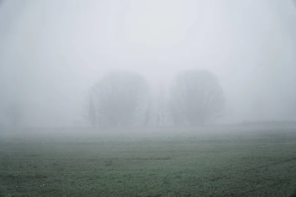 Paesaggio di fitta nebbia nel campo e silhouette di alberi in inverno caldo — Foto Stock