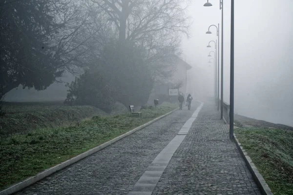Mystieke lopen weg met mist silhouet van bomen en man, mistige walkside, mistig plaats — Stockfoto