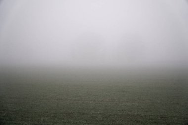 Peyzaj alanı ve sıcak kış ağaçlarda silüeti yoğun sis