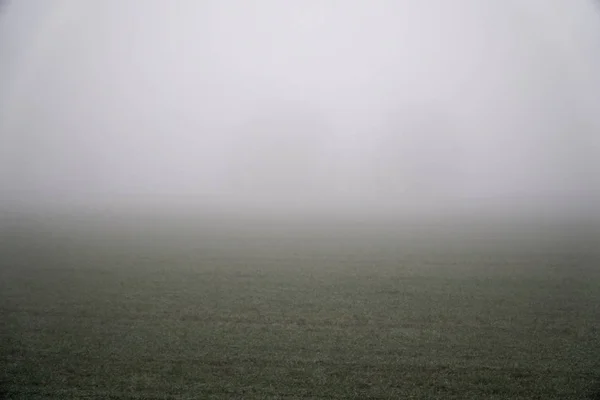 Paisaje de niebla densa en el campo y silueta de árboles en invierno cálido — Foto de Stock