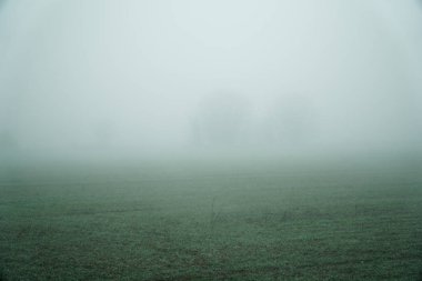 Peyzaj alanı ve sıcak kış ağaçlarda silüeti yoğun sis