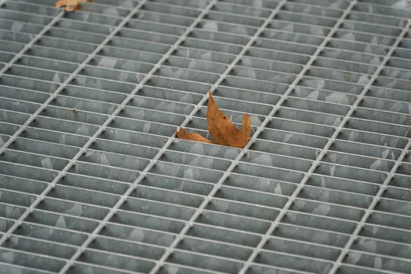 Escotilha de metal quadrado em pavimento urbano, tampa de esgoto bueiro com linhas de marcação e folha dentro — Fotografia de Stock