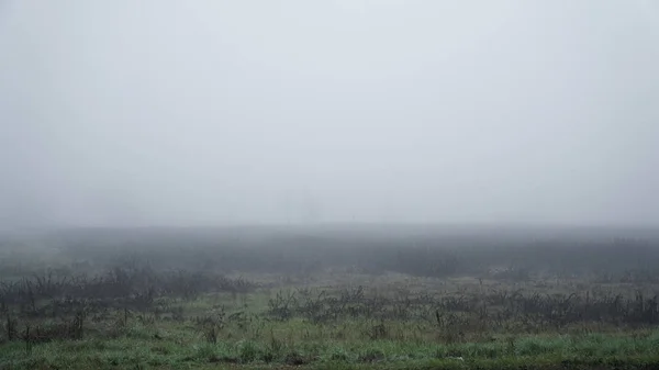 Paisaje de niebla densa en el campo y silueta de árboles en invierno cálido — Foto de Stock