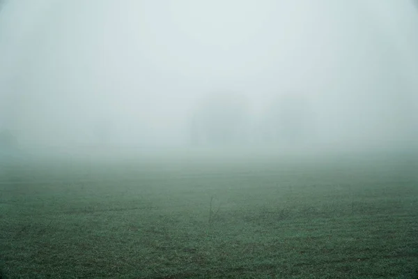 Paisaje de niebla densa en el campo y silueta de árboles en invierno cálido —  Fotos de Stock