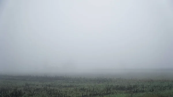 Paisaje de niebla densa en el campo y silueta de árboles en invierno cálido — Foto de Stock